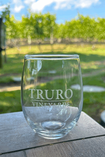 Stemless Etched Taster 9oz
