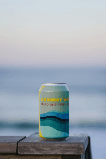 Canned Summer White 4- Pack