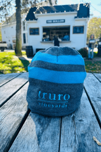 Fleece Lined Striped Beanie