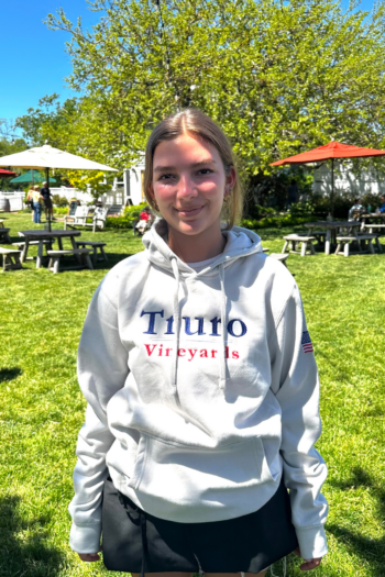 4th of July Hoodie